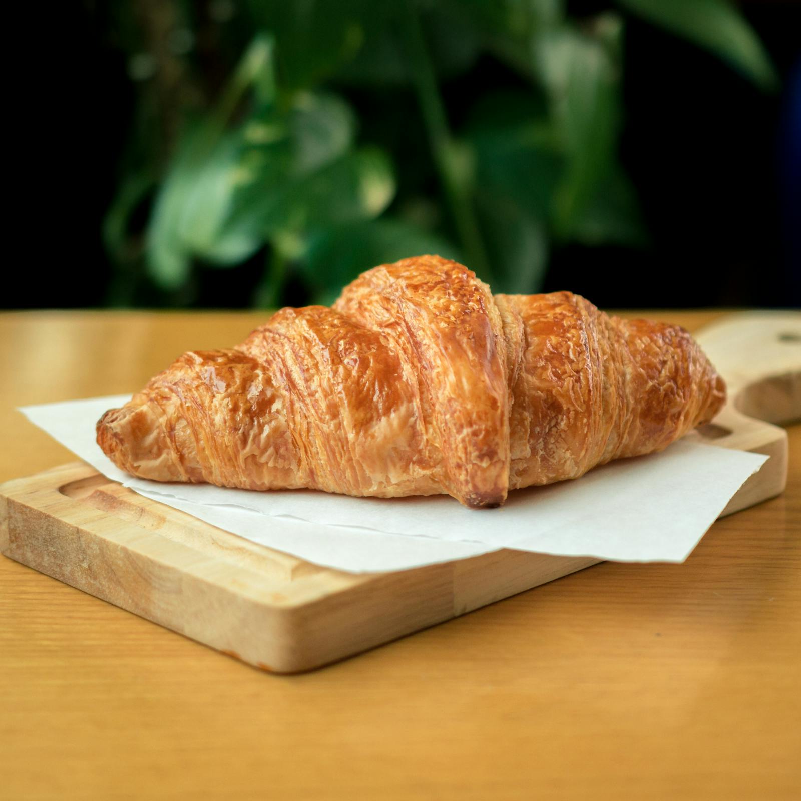 Classic French Croissant