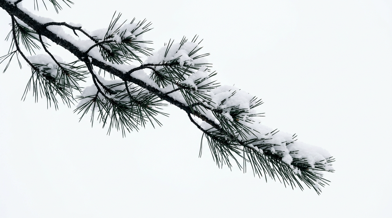 Winter Silence